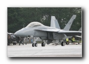 F/A-18F Super Hornet, VFA-122 Flying Eagles, USN