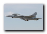 F/A-18F Super Hornet, VFA-122 Flying Eagles, USN