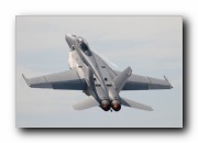 F/A-18F Super Hornet, VFA-122 Flying Eagles, USN