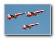 F-5E Tiger II, Patrouille Suisse, Swiss AF