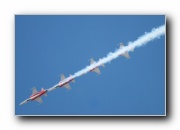 F-5E Tiger II, Patrouille Suisse, Swiss AF