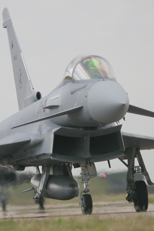 C.16 Typhoon, 113 Esc/Ala 11, Spanish AF