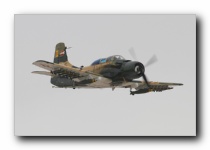 A-1E Skyraider