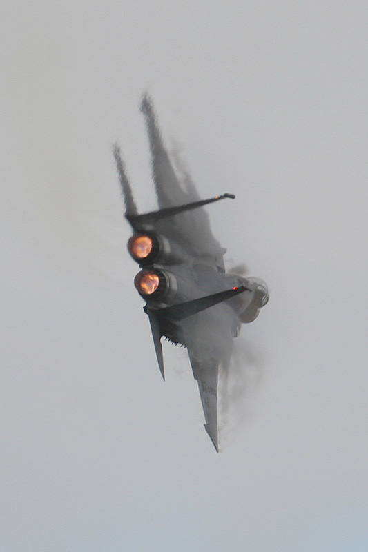 F-15E Strike Eagle, 494th FS, USAF