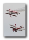 Stearmans, Team Guinot