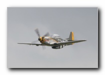 TF-51D Mustang, The Fighter Collection