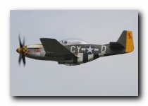 TF-51D Mustang, The Fighter Collection