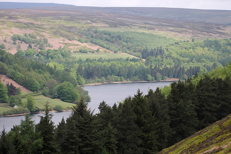 Derwent Reservoir