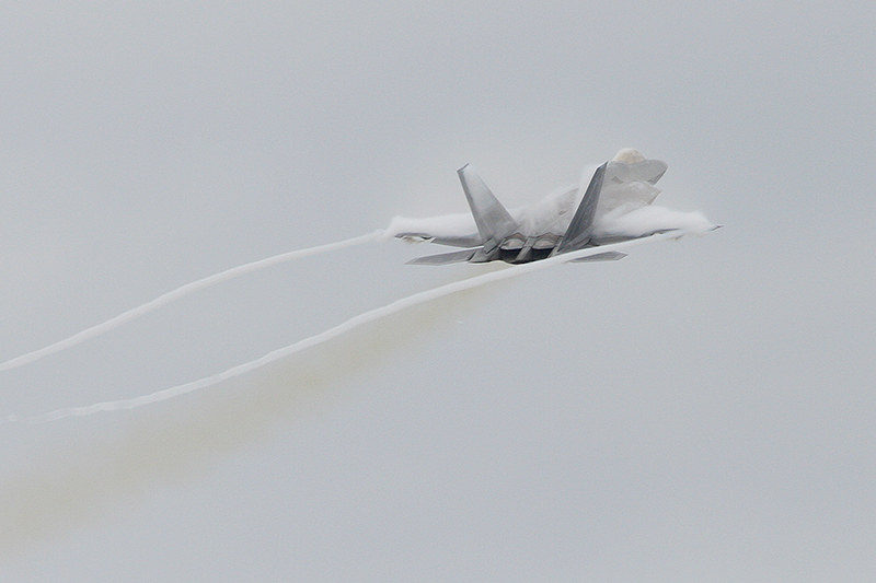 F-22A Raptor, 94th FS, USAF