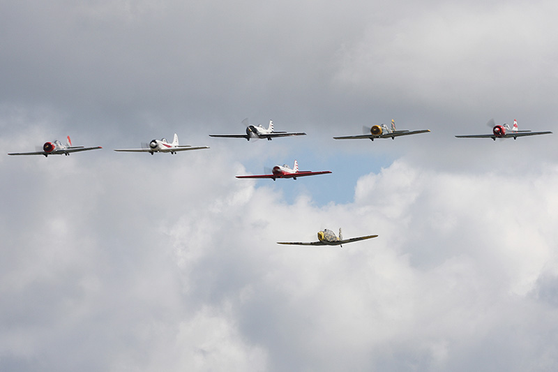 Yak-50s, Yakolevs<br>Fiat G46-3B