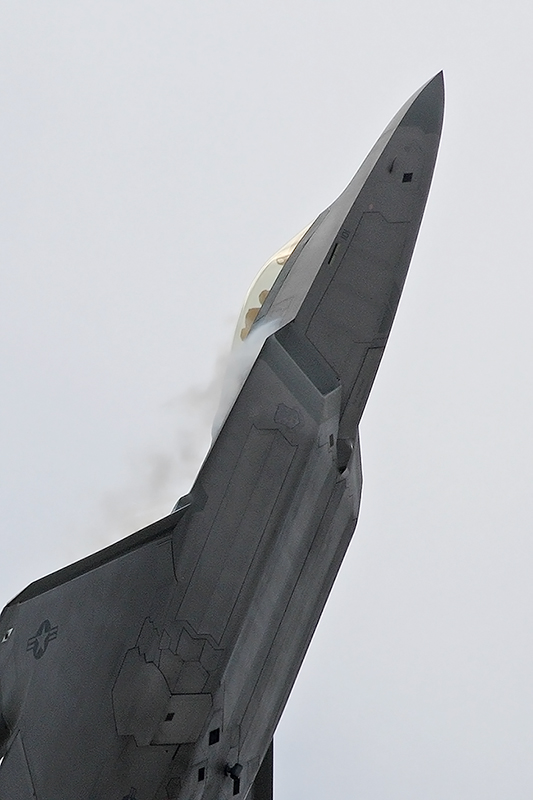 F-22A Raptor, 94th FS, USAF