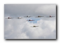 Yak-50s, Yakolevs<br>Fiat G46-3B