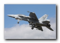 F/A-18F Super Hornet, VFA-106 Gladiators, USN