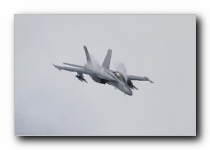 F/A-18F Super Hornet, VFA-106 Gladiators, USN