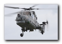 Lynx HMA.8DAS, 702NAS / The Black Cats, RN