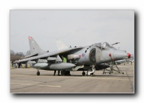 Harrier GR.7, 1(F) Sqn, RAF