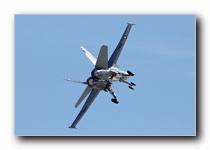 F/A-18C Hornet, VFA-125 <i>Rough Raiders</i>, USN