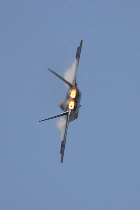 F-22A Raptor, 94th FS, USAF