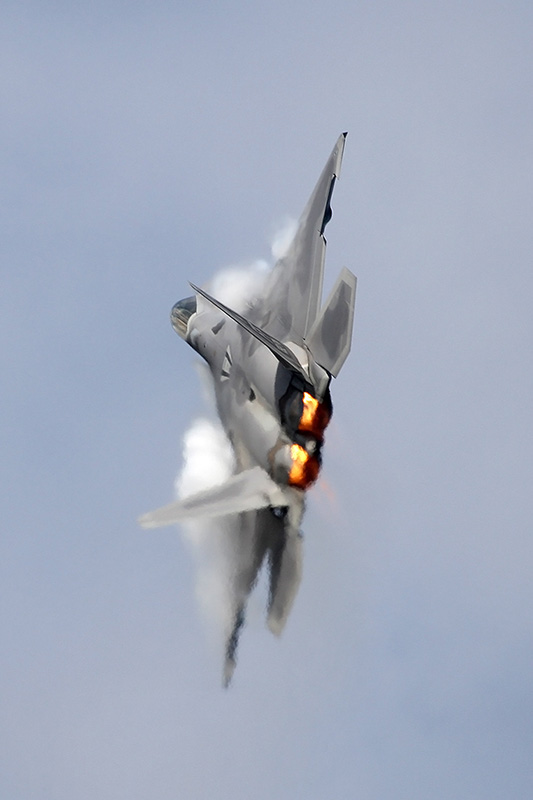F-22A Raptor, 94th FS, USAF