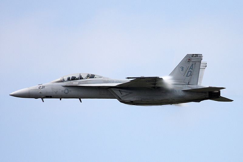 F/A-18F Super Hornet, VFA-106 <i>Gladiators</i>, USN