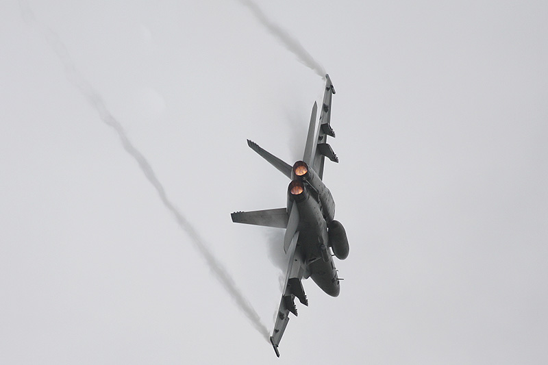 F/A-18F Super Hornet, VFA-11 <i>Red Rippers</i>, USN