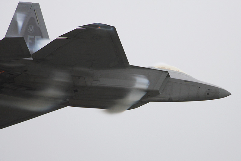 F-22A Raptor, 94th FS, USAF