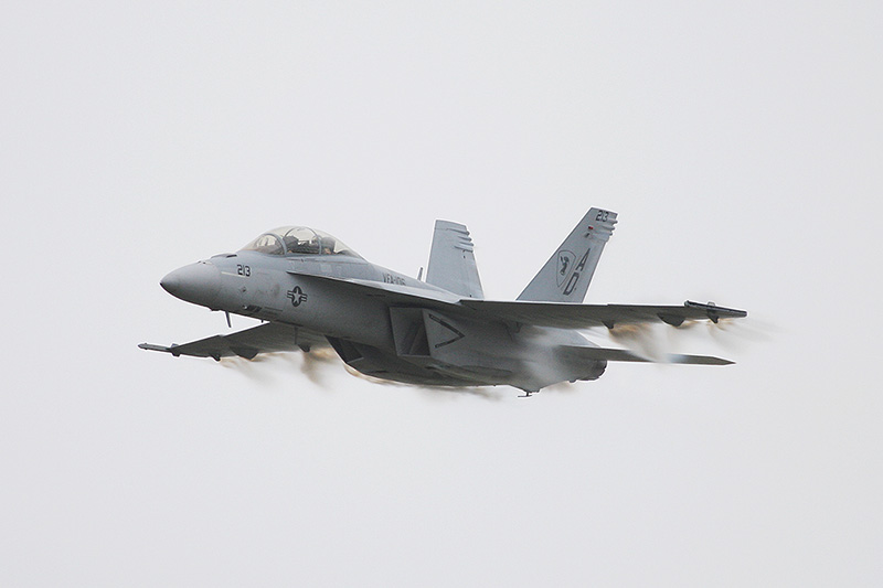 F/A-18F Super Hornet, VFA-106 <i>Gladiators</i>, USN