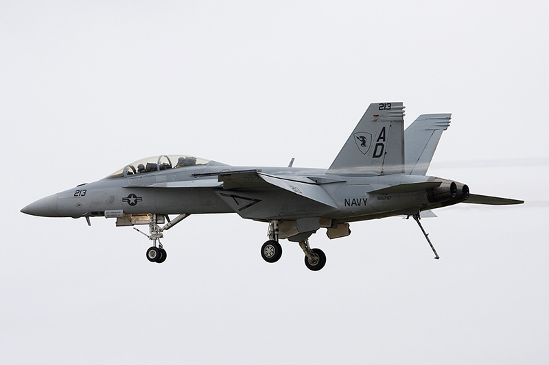 F/A-18F Super Hornet, VFA-106 <i>Gladiators</i>, USN