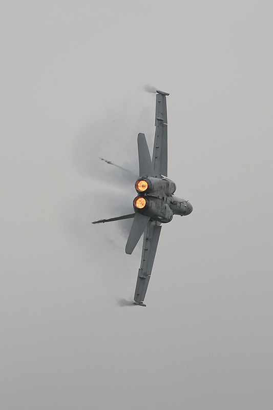 F/A-18C Hornet, VFA-106 <i>Gladiators</i>, USN