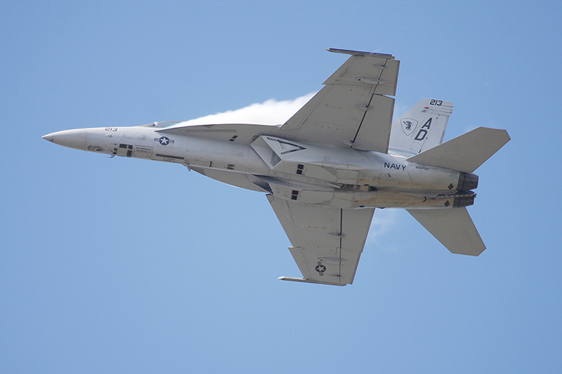 F/A-18F Super Hornet, VFA-106 <i>Gladiators</i>, USN