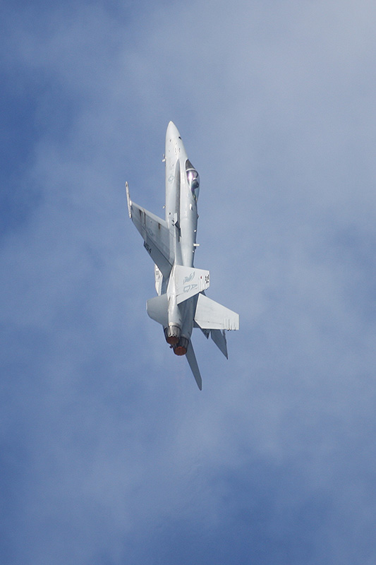 F/A-18C Hornet, VFA-106 <i>Gladiators</i>, USN