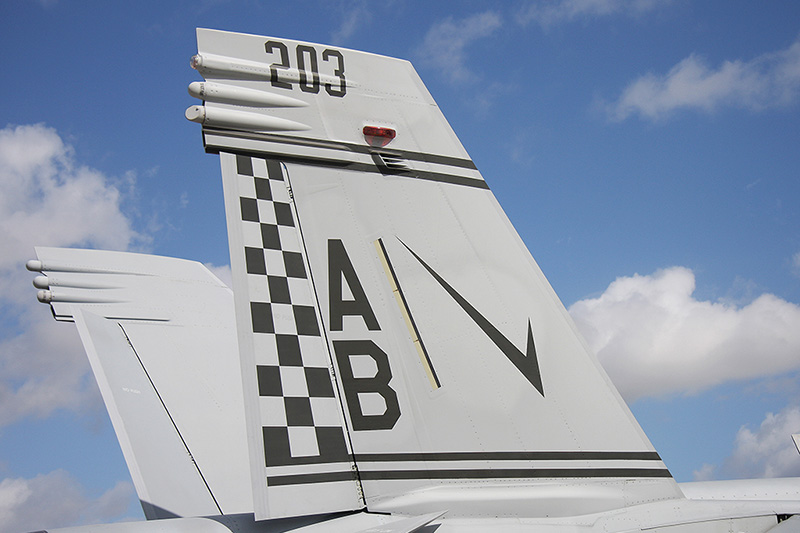 F/A-18F Super Hornet, VFA-211 <i>Fighting Checkmates</i>, USN