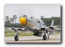 P-51D Mustang <i>Little Horse</i>