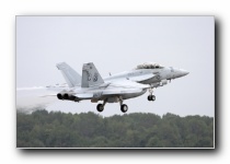 F/A-18F Super Hornet, VFA-11 <i>Red Rippers</i>, USN