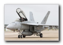 F/A-18F Super Hornet, VFA-11 <i>Red Rippers</i>, USN