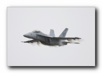 F/A-18F Super Hornet, VFA-106 <i>Gladiators</i>, USN