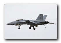 F/A-18F Super Hornet, VFA-106 <i>Gladiators</i>, USN