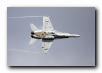 F/A-18C Hornet, VFA-106 <i>Gladiators</i>, USN