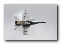 F/A-18C Hornet, VFA-106 <i>Gladiators</i>, USN