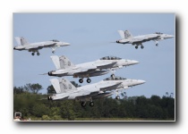 F/A-18F Super Hornets, VFA-11 <i>Red Rippers</i>, USN<br>F/A-18E Super Hornets, VFA-136 <i>Knighthawks</i>, USN