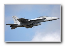 F/A-18F Super Hornet, VFA-11 <i>Red Rippers</i>, USN