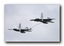 F/A-18F Super Hornet, VFA-11 <i>Red Rippers</i>, USN<br>F/A-18C Hornet, VFA-106 <i>Gladiators</i>, USN