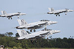 NAS Oceana 50th Airshow