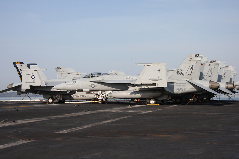 F/A-18E Super Hornet, VFA-31 <i>Tomcatters</i>, USN<br>F/A-18F Super Hornet, VFA-213 <i>Black Lions</i>, USN