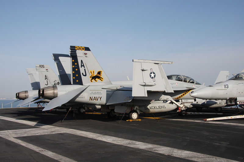 F/A-18F Super Hornet, VFA-213 <i>Black Lions</i>, USN