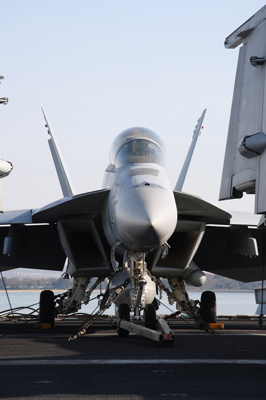 F/A-18F Super Hornet, VFA-213 <i>Black Lions</i>, USN