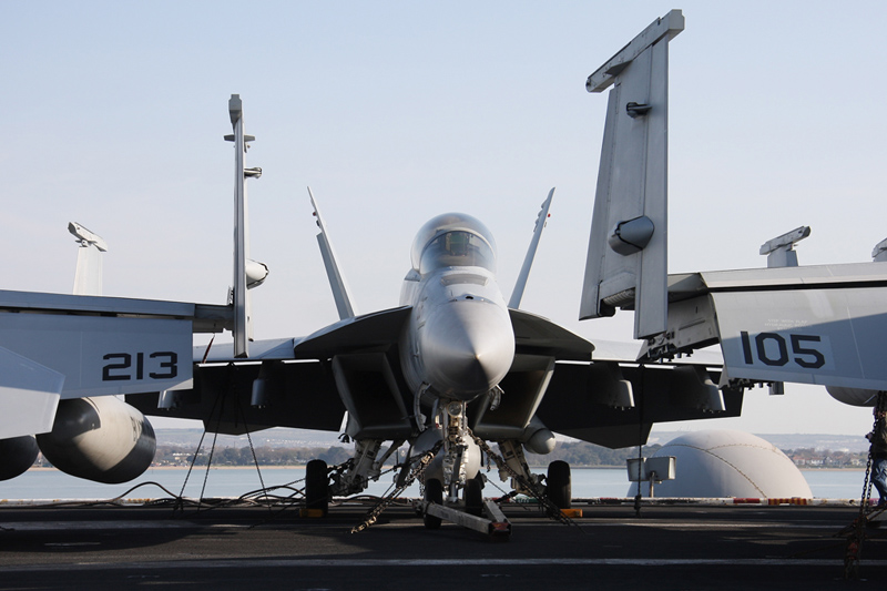 F/A-18F Super Hornet, VFA-213 <i>Black Lions</i>, USN