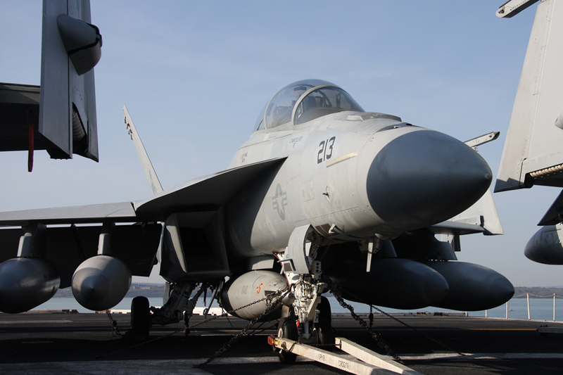 F/A-18F Super Hornet, VFA-213 <i>Black Lions</i>, USN