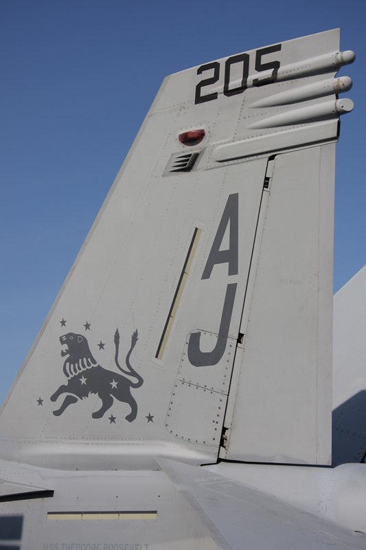 F/A-18F Super Hornet, VFA-213 <i>Black Lions</i>, USN