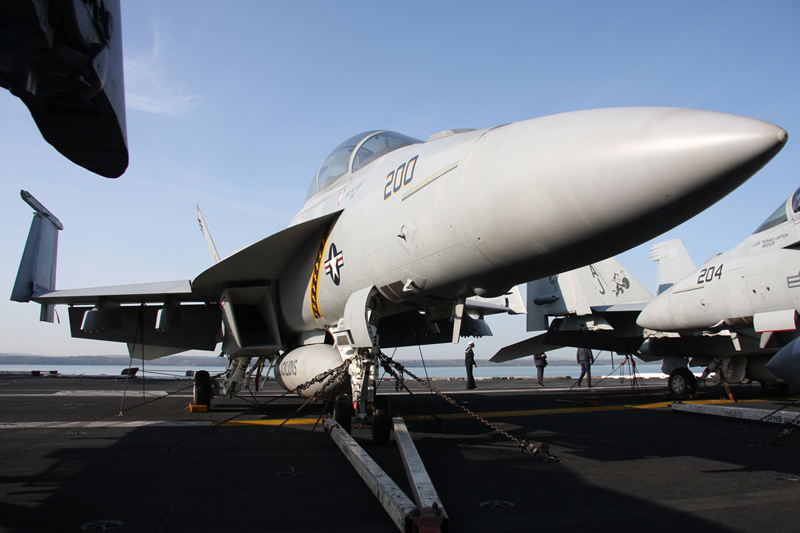 F/A-18F Super Hornet, VFA-213 <i>Black Lions</i>, USN